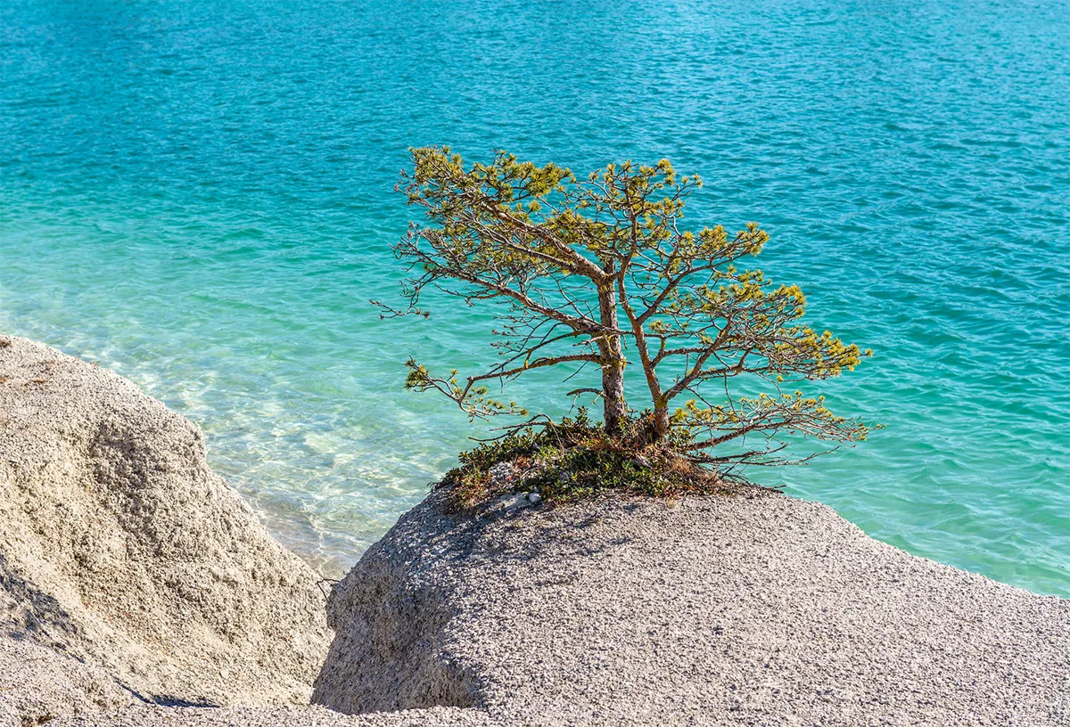 Ta med detta för en bättre dag vid Gotlands Blå lagun