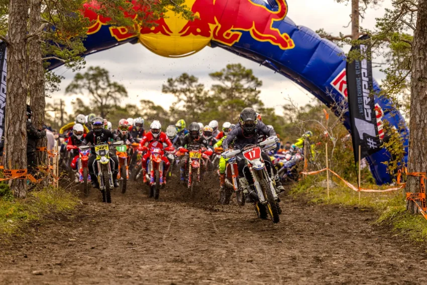 gotland grand national